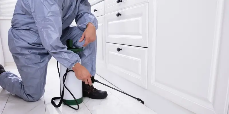 How to Grow Your Pest Control Business in 2026 | DemandHub